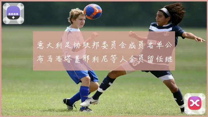 意大利足协联邦委员会成员名单公布马洛塔基耶利尼等人全员留任继续服务